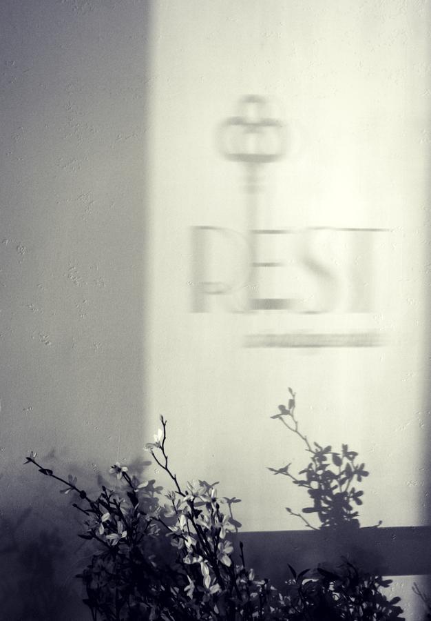 Rest, A Boutique Hotel Plymouth Exteriér fotografie